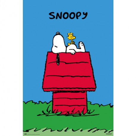 Snoopy Maxi Poster Doghouse
